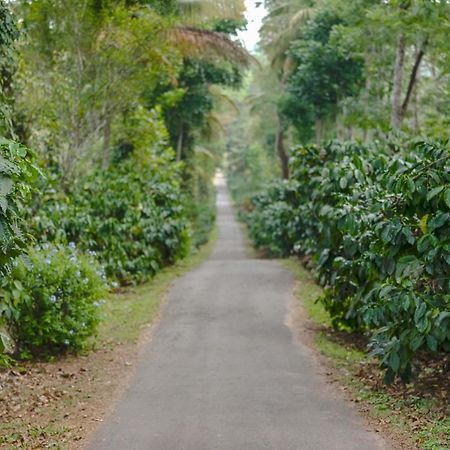 Belvilla The School Estate- Luxury Heritage Home In 200 Acres Madikeri Εξωτερικό φωτογραφία